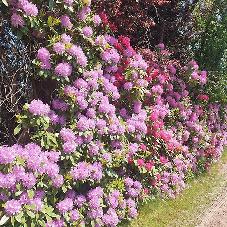 Ferienwohnung Gartenblick 웨스터스테드 외부 사진