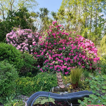 Ferienwohnung Gartenblick 웨스터스테드 외부 사진