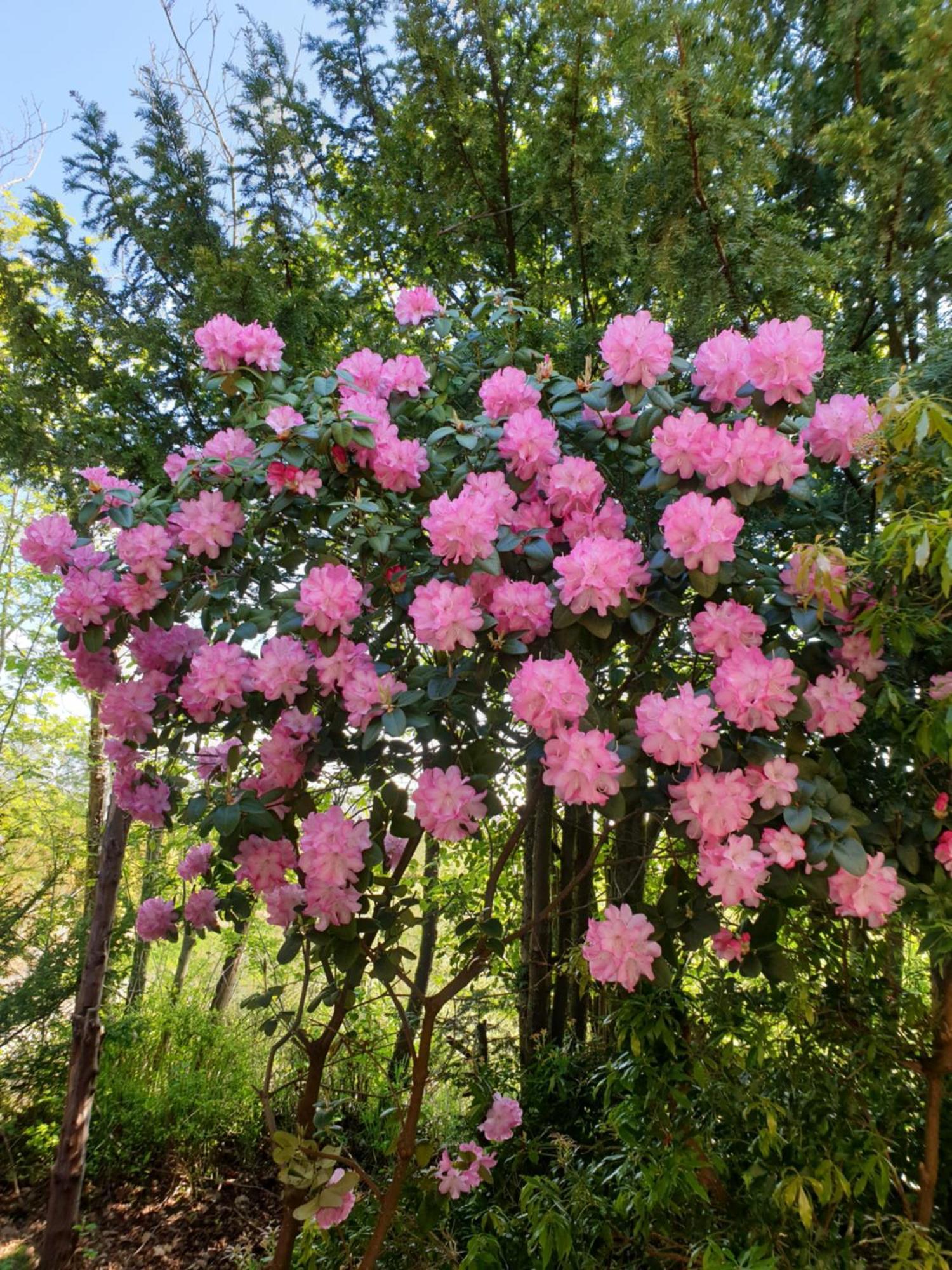 Ferienwohnung Gartenblick 웨스터스테드 외부 사진