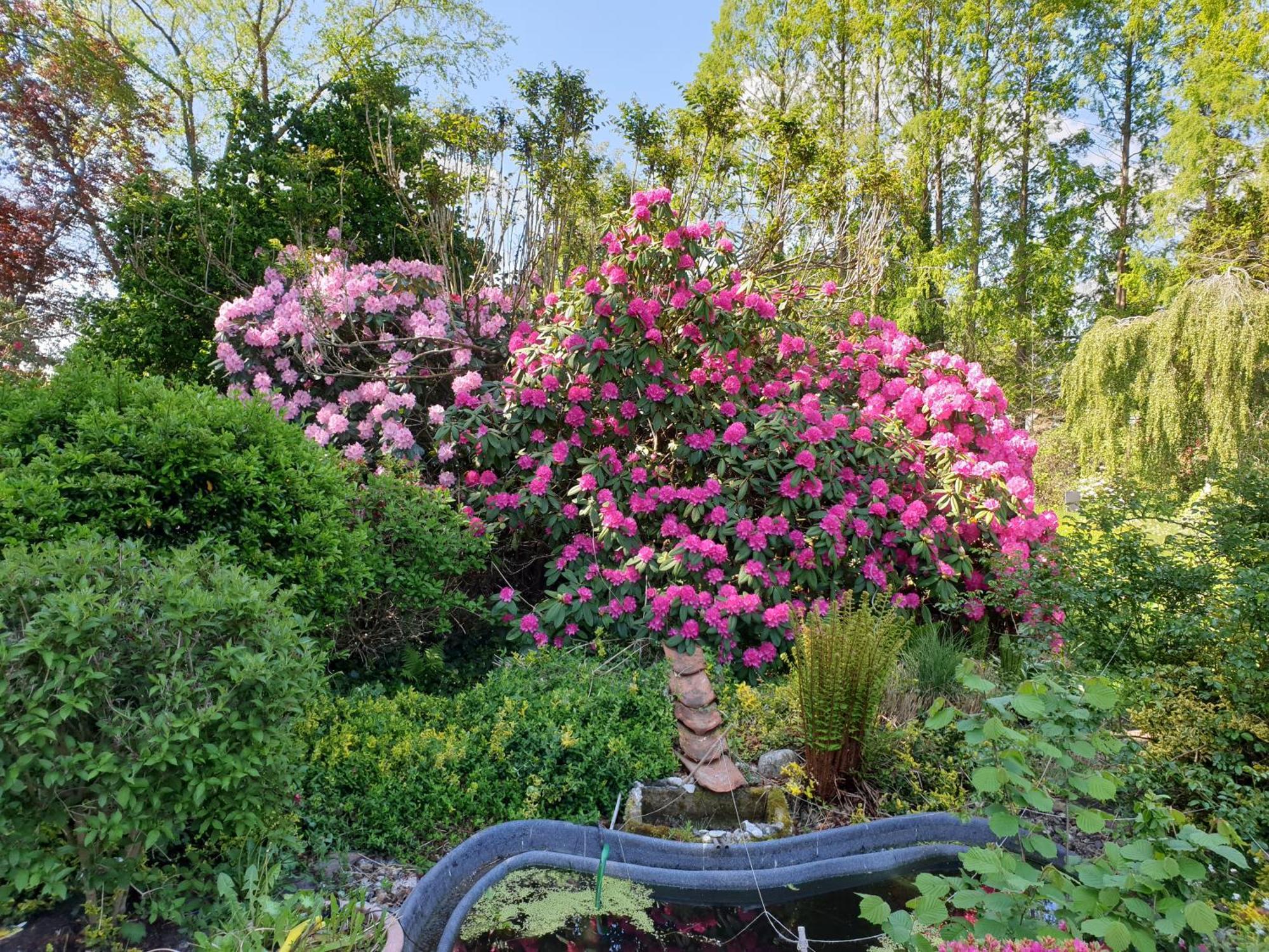 Ferienwohnung Gartenblick 웨스터스테드 외부 사진