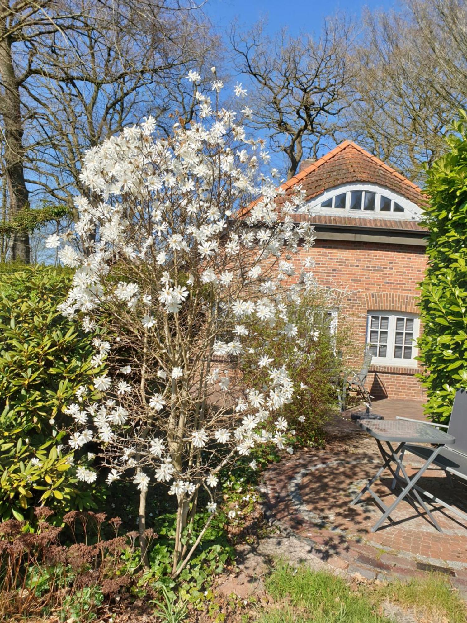 Ferienwohnung Gartenblick 웨스터스테드 외부 사진