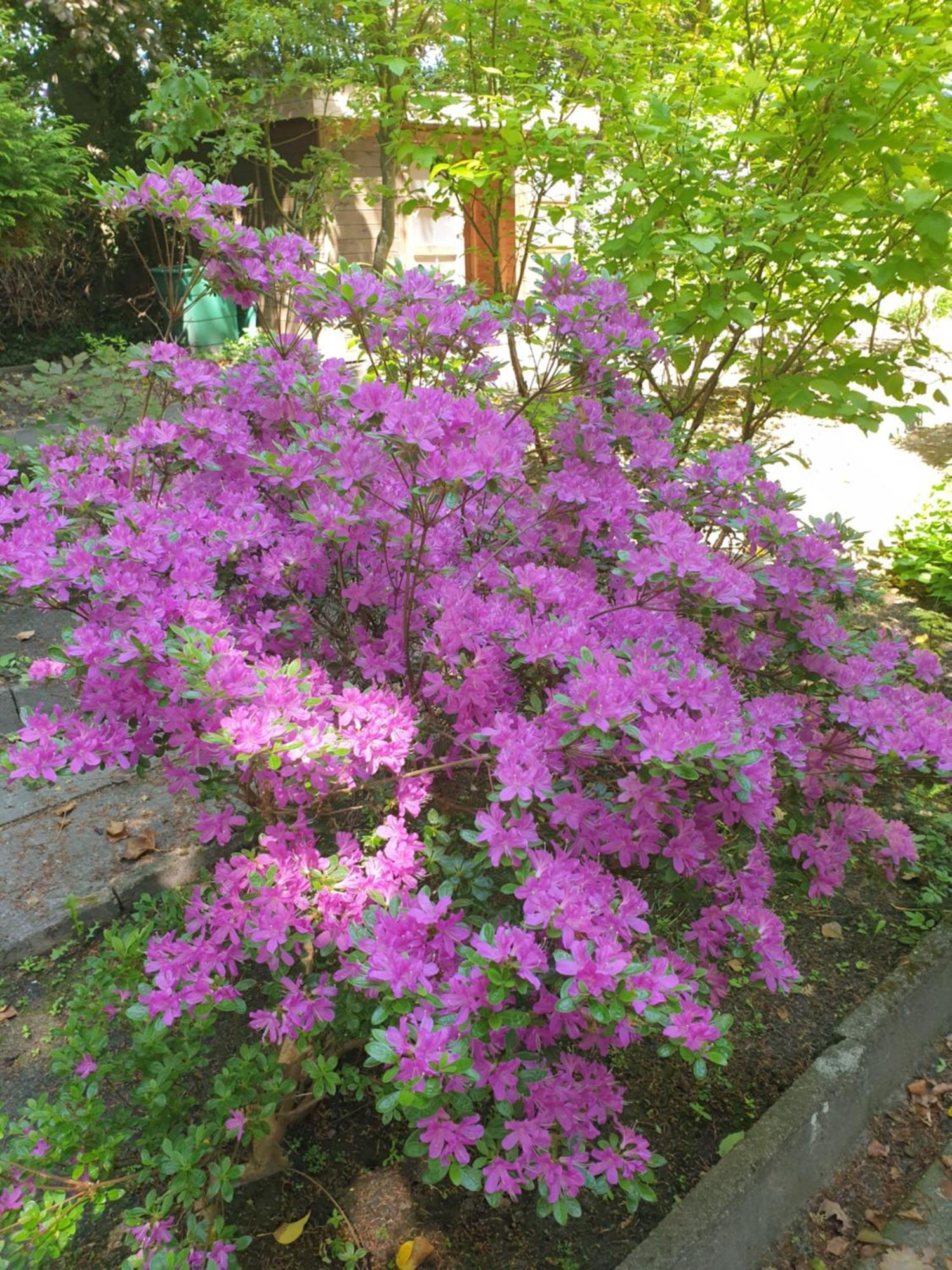Ferienwohnung Gartenblick 웨스터스테드 외부 사진