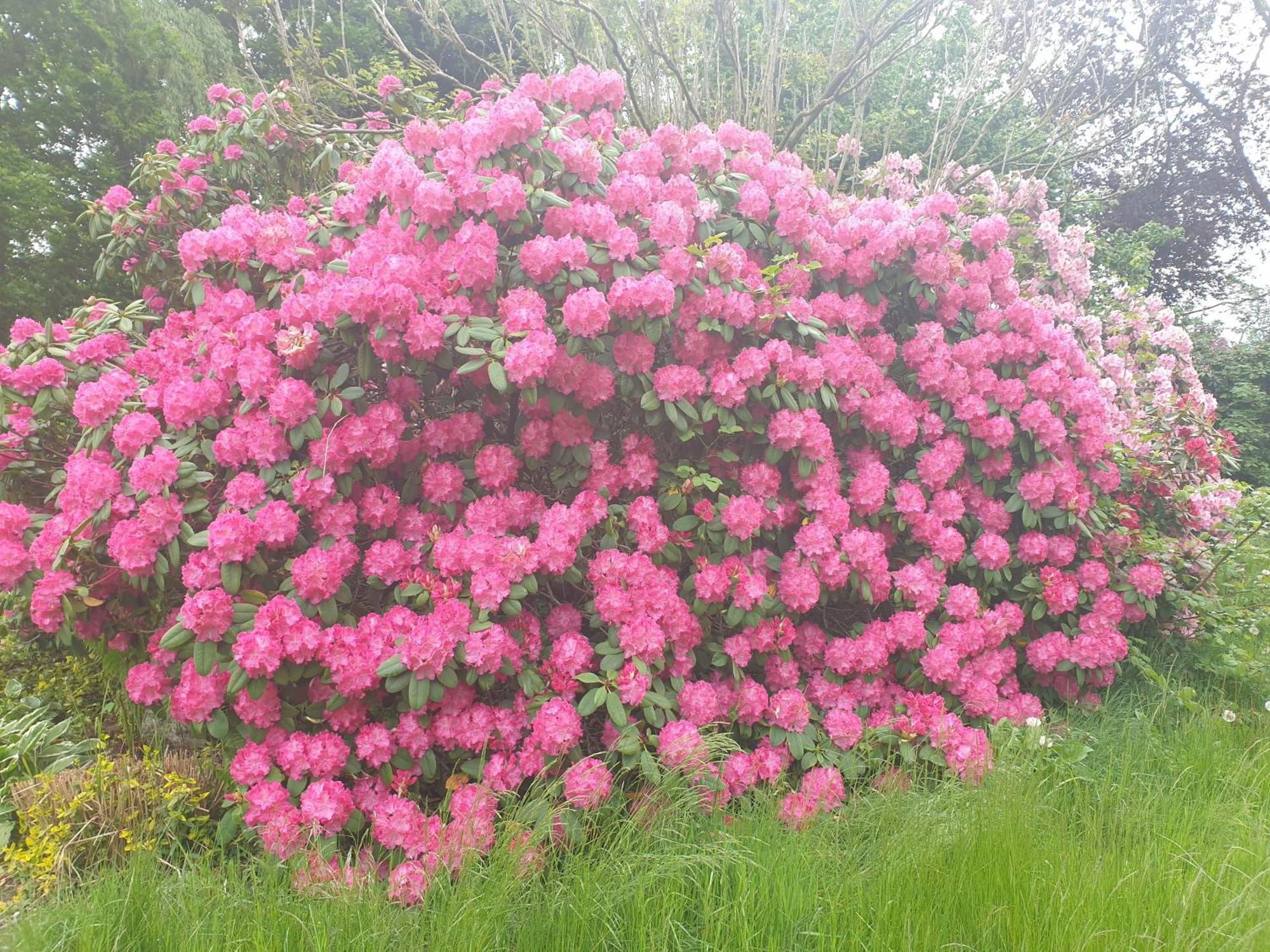 Ferienwohnung Gartenblick 웨스터스테드 외부 사진