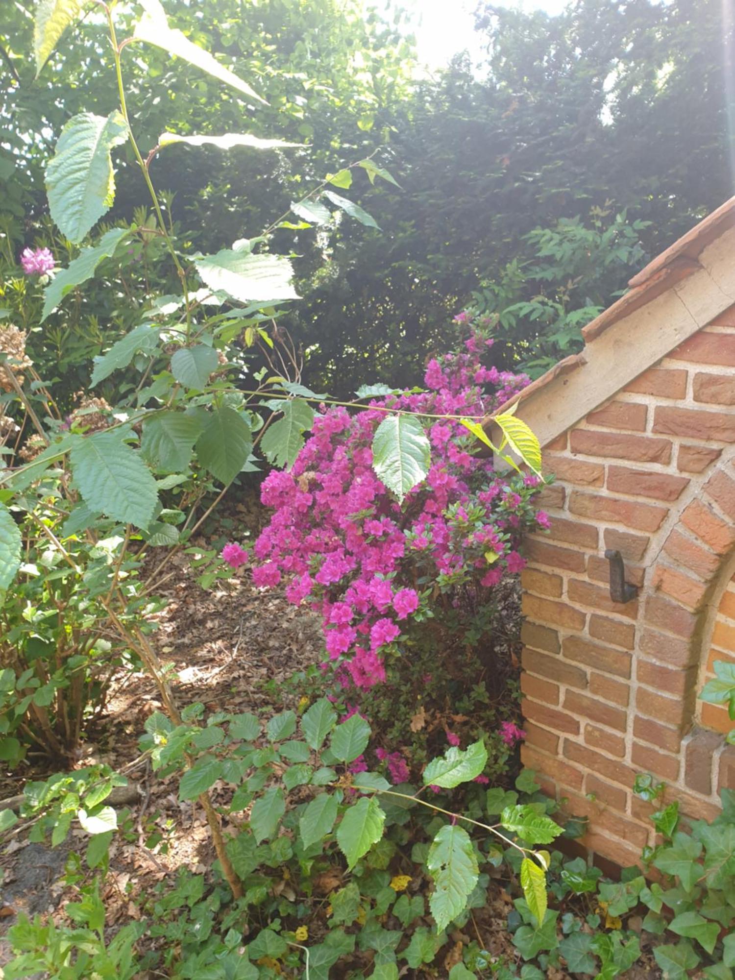 Ferienwohnung Gartenblick 웨스터스테드 외부 사진
